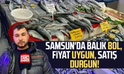 Samsun'da balık bol, fiyat uygun, satış durgun!