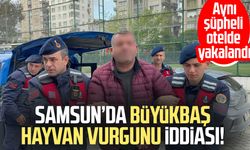 Hayvan ticaretinde dolandırıcılık: Şüpheli otelde yakalandı