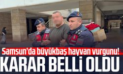 Hayvan ticareti dolandırıcılığına tutuklama