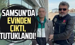 Evinde bonzai ele geçirilen şahıs tutuklandı