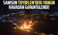 Samsun'da muz deposu yangını havadan görüntülendi