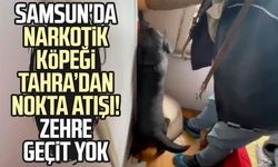 Samsun'da narkotik köpeği Tahra’dan nokta atışı! Zehre geçit yok