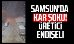 Samsun'da nisan ayında kar sürprizi! Üretici endişeli