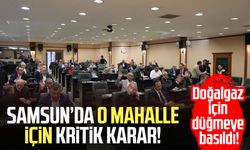 Samsun'da Balaç'ı doğalgaza kavuşturacak imar planı değişikliği meclisten geçti