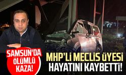 MHP'li meclis üyesi kazada hayatını kaybetti