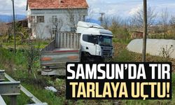 Samsun'da tır tarlaya uçtu: 1 yaralı