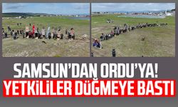 Kızıl geyikler doğayla buluşmaya devam ediyor