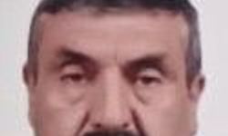 Devrilen ağacın altında kalan yaşlı adam hayatını kaybetti