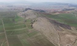 Vezirköprü Besi OSB'de orman süreci tamamlandı