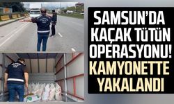 Samsun'da 770 kilo kaçak tütün ele geçirildi