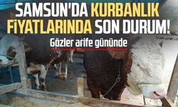 Samsun'da besiciler bayram satışlarından umutlu