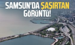 Mayıs yağmurları Karadeniz'i çamura boyadı