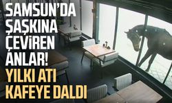 19 Mayıs'ta ilginç olay: Yılkı atı kafeye çifte attı