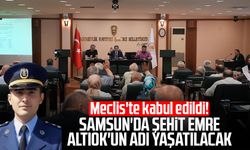 Samsun Meclisi'nde 38 madde karara bağlandı