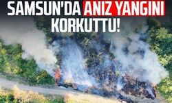Samsun'da korkutan anız yangını