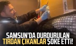 Tırın yatak bölümünde 129 bin 500 uyuşturucu hap ele geçti