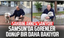 Kavak Adliyesi'nin sevimli maskotu: Kuzu Tertip