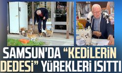 Samsun'da sokak kedilerinin dedesi kimsesiz kedilere sıcak yuva oluyor