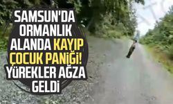 3 yaşındaki kayıp çocuk, jandarma ekiplerince ormanlık alanda bulundu