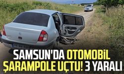Samsun'da otomobil şarampole düştü: 3 yaralı