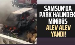 Samsun'da park halindeki panelvan alevlere teslim oldu