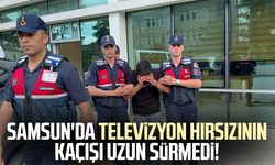 Televizyon hırsızlığı zanlısı, jandarma ekiplerince yakalandı