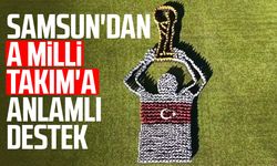 Samsun'dan A Milli Takım'a anlamlı destek
