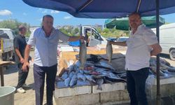 Çarşambalı balıkçı ikizler 40 yıldır aynı tezgahta