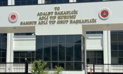 Ihlamur ağacından düşen yaşlı adam hayatını kaybetti
