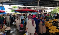 Yaz meyve ve sebzeleri tezgahları süsledi