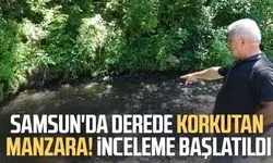 Samsun'da derede toplu balık ölümleri: Mahalleli kalıcı çözüm istiyor
