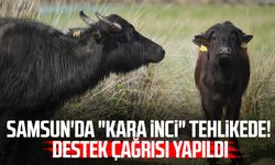 Türkiye'nin manda üssünde 'düşüş' endişesi