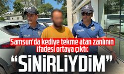 Kediye tekme atan şahıs tutuklandı: 'Sinirliydim, pişmanım'