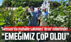 Samsun'da 'dron ile çeltik ilaçlaması' tartışması: 'Mahsullerimiz yanıyor'