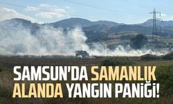 Samsun'da samanlık alanda çıkan yangın söndürüldü