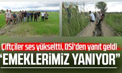 Bafralı çeltik üreticileri: 'Ekinlerimiz yanıyor'