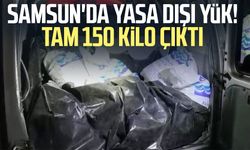 Samsun'da kaçak toplanan 150 kilo kara kıllı midye denize geri bırakıldı
