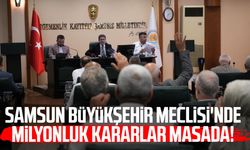 Samsun Meclisi toplandı