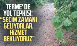 Terme' de yol tepkisi: "Seçim zamanı geliyorlar, hizmet bekliyoruz"