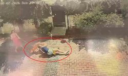 Samsun'da pitbull dehşeti: Küçük kızı yere savurdu, köpeğini ise ağır yaraladı