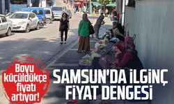 Samsun'da bamyanın boyu küçüldükçe fiyatı artıyor