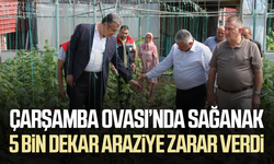 Çarşamba Ovası'nda sağanağın bilançosu ağır: 30 mahallede 5 bin dekar zarar