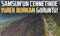 Kızılırmak Deltası Kuş Cenneti'nde korkutan yangın: 15 dönüm alan zarar gördü