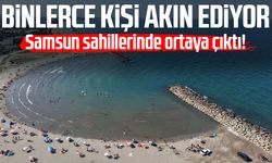 Samsun'da dalgakıranların oluşturduğu koylara ilgi