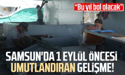 Samsun'da balıkçılar yeni sezona hazırlanıyor! Palamut mesajı