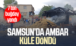 Samsun'da ambarda yangın: 7 ton buğday küle döndü