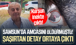 Ayva dalı cinayetinde şaşırtan gelişme: Kurşun ineğin memesinde çıktı