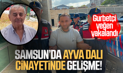 Ayva dalını kestiği için amcasını öldüren gurbetçi yakalandı