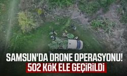 Samsun'da tarladaki sır drone ile çözüldü! 1 gözaltı