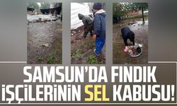 Samsun’da fındık işçilerinin sel kabusu!